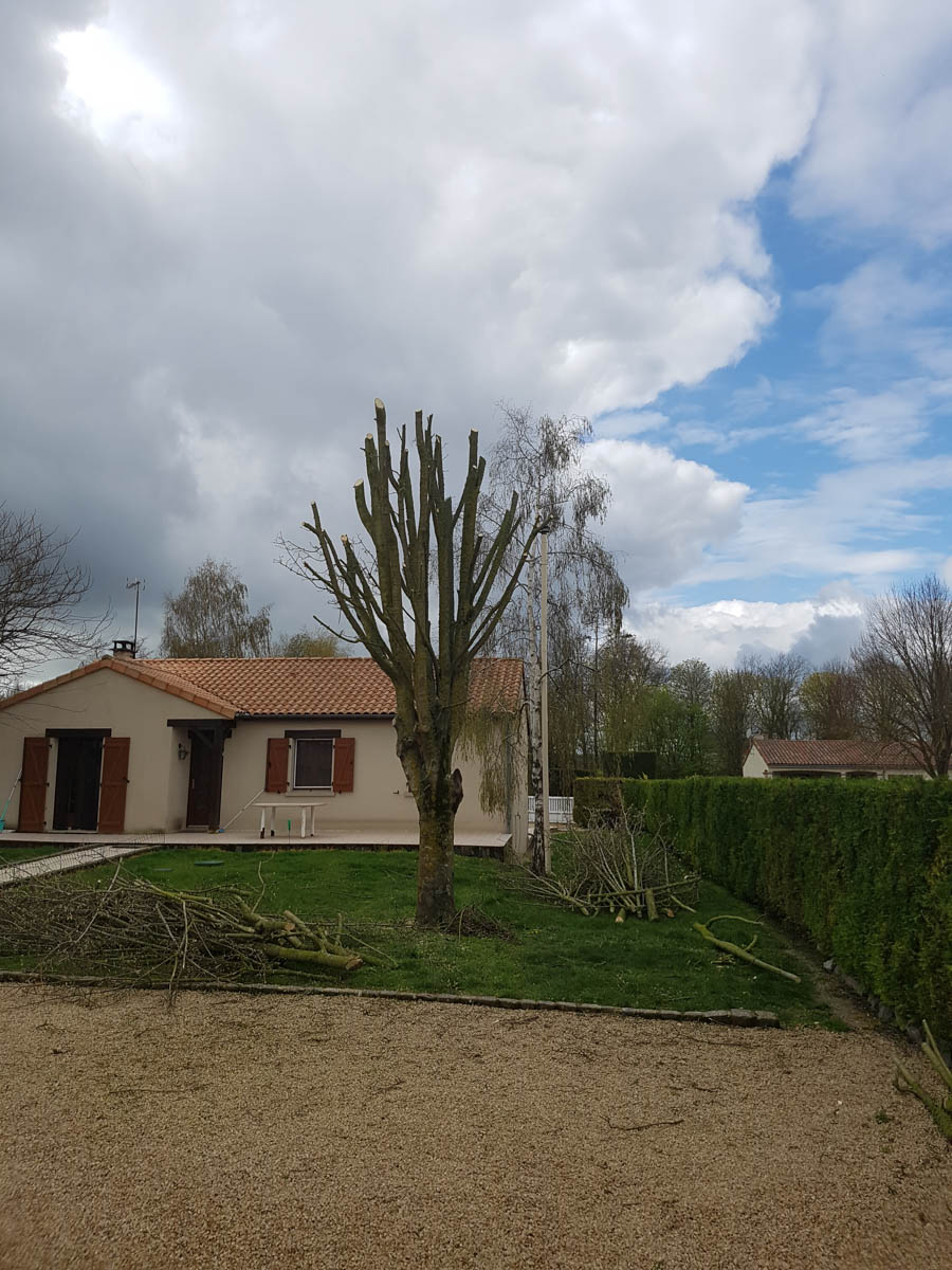 élagage entretien arbre paysagiste loudun